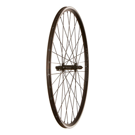 Wheel Shop Alex AT490 / Shimano Sora RS300 Wheel-1