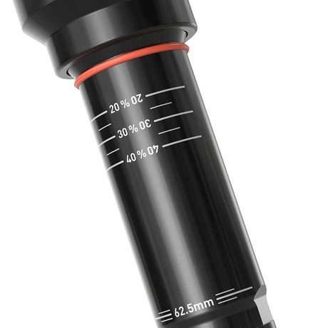 RockShox Super Deluxe Thru Shaft RCT Rear Shocks-1