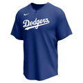 Nike Los Angeles Dodgers Adult Institutional 1 Button Pullover-1