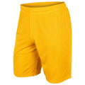 Champro Youth Dynamic Tricot Mesh 9" Inseam Basketball Shorts