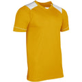 Champro Youth Attacker Soccer Jersey-1