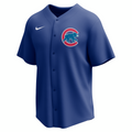 Nike Chicago Cubs Adult Institutional Full Button Jersey-1
