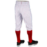 Champro Men's Standard Triple Crown 2.0 Baseball Knickers with Pinstripes-2
