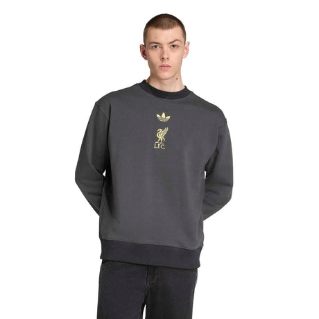 adidas Men's Liverpool Fc Lfstlr Crew-2