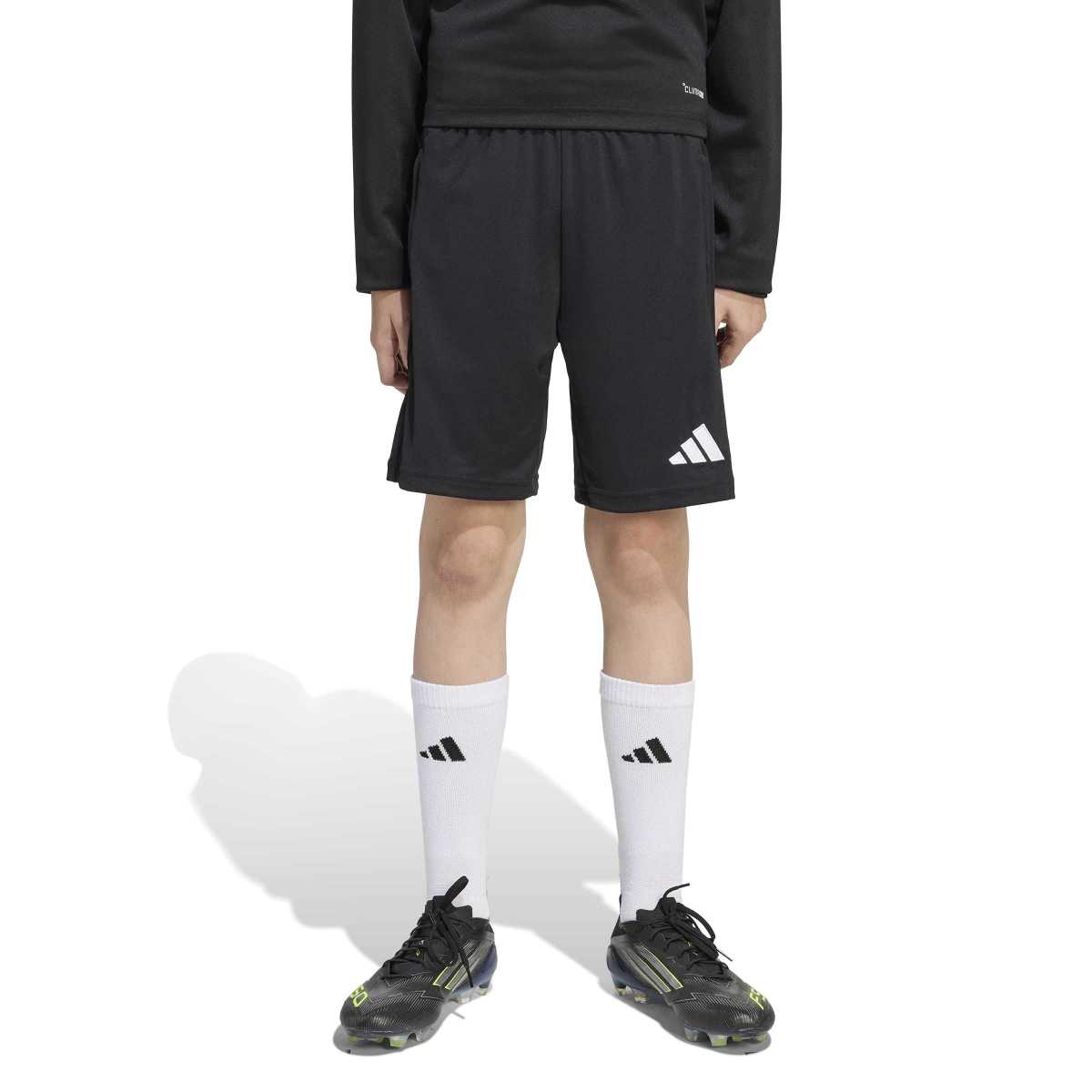 adidas Youth Entrada26 Training Shorts-2