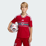 adidas Youth Wales 26 Home Jersey-1