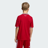 adidas Youth Wales 26 Home Jersey-2