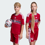 adidas Youth Wales 26 Home Jersey-5