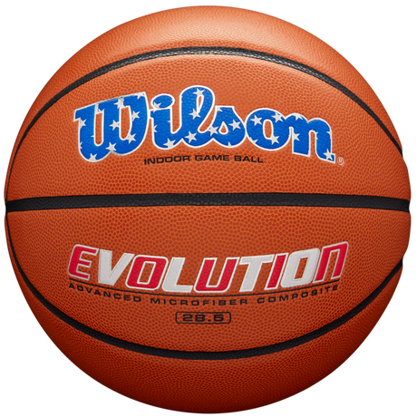 Wilson Evolution Basketball-1