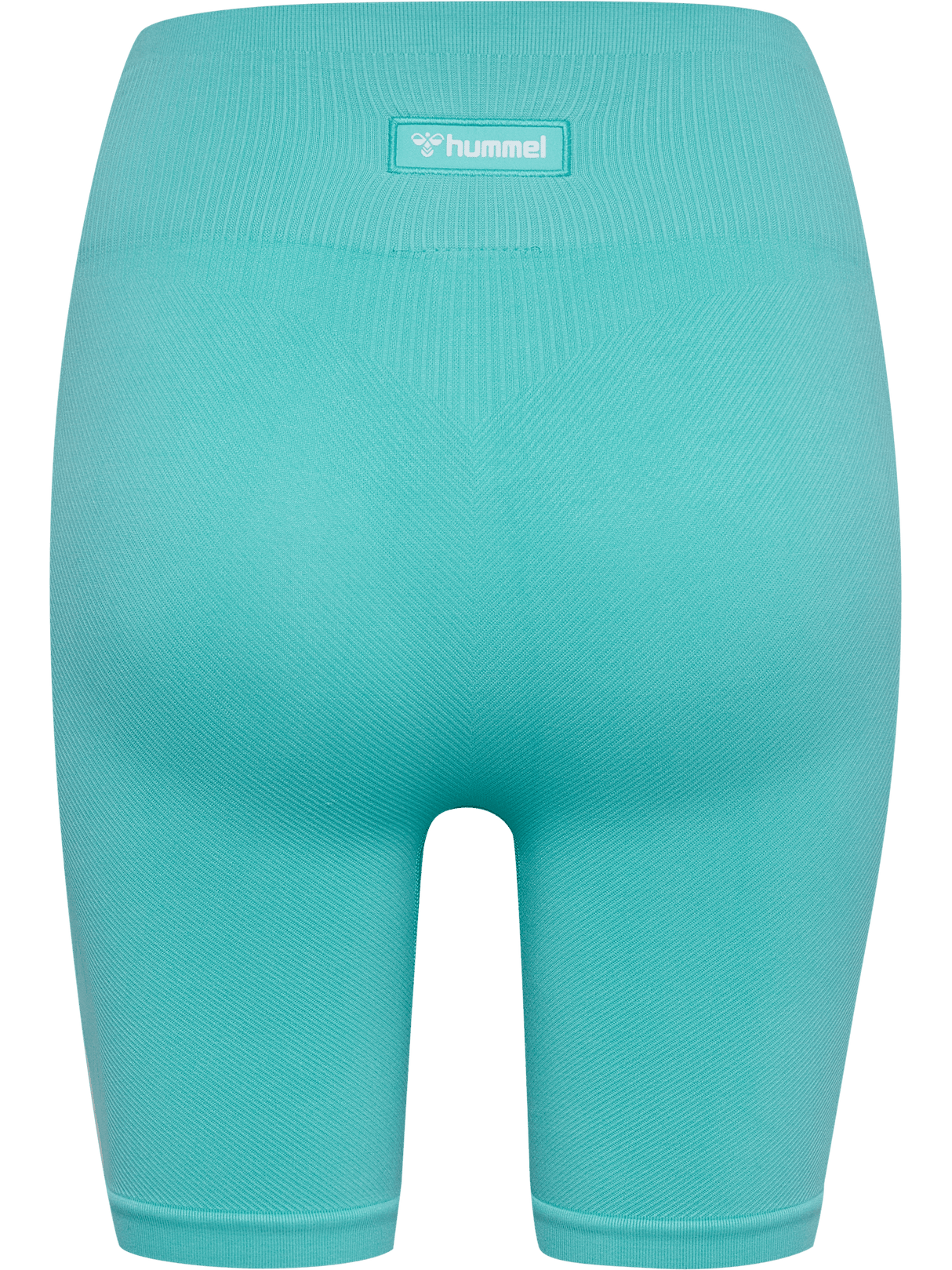 hummel Women's Alive Seamless High Waist Shorts-2