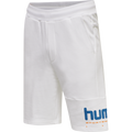 hummel Unisex Legacy Manfred Shorts-1
