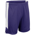 Champro Men's Dagger Basketball Shorts