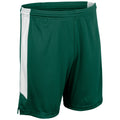 Champro Youth Dagger Basketball Shorts