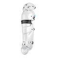 Easton X Jen Schro the Very Best Fastpitch Softball Leg Guards