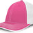 Pacific Headwear Trucker Pacflex Cap