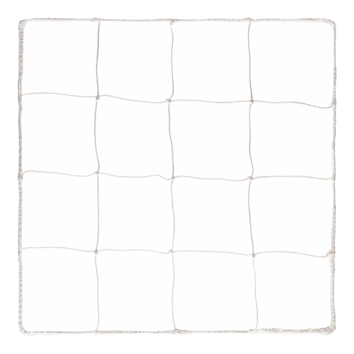 Champion Sports Official Soccer Net