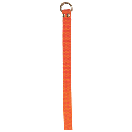Champion Sports Football Belt