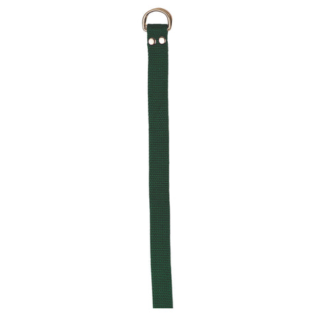 Champion Sports Football Belt