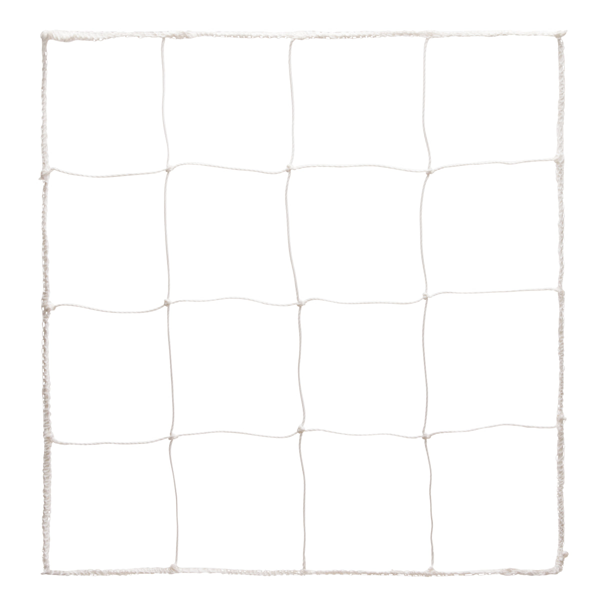 Champion Sports Official Soccer Net