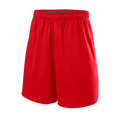 Wilson Men's Pro Team Training Baseball Shorts 2.0