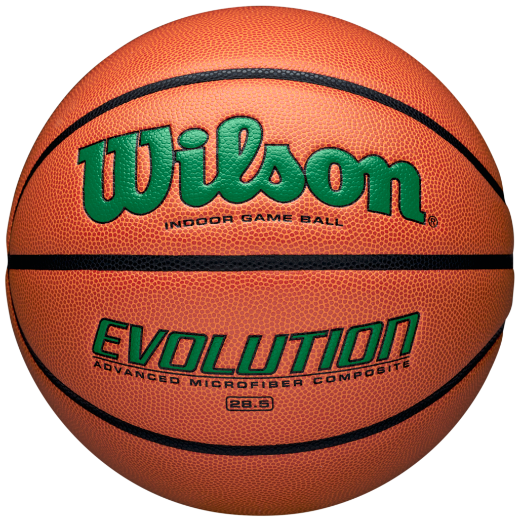 Wilson Adult Evolution Game Ball Basketball-1
