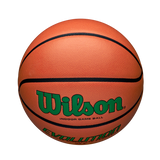 Wilson Adult Evolution Game Ball Basketball-5