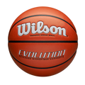Wilson Adult Evolution Basketball-1