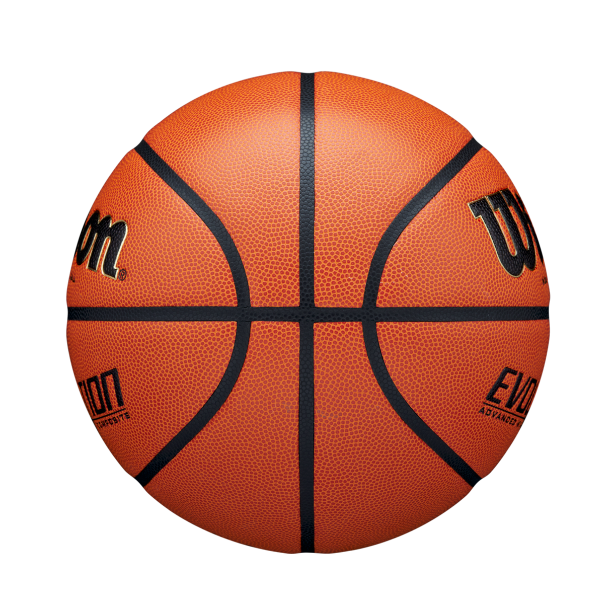 Wilson Adult Evolution Basketball-4