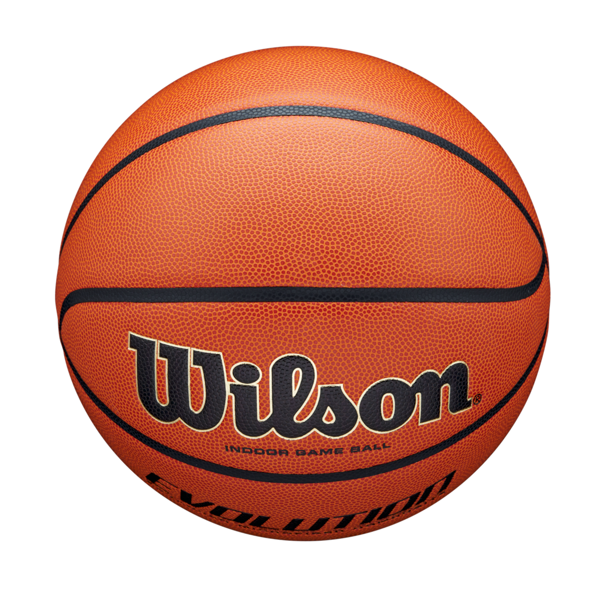 Wilson Adult Evolution Basketball-5