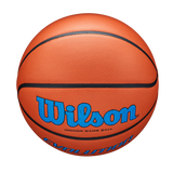 Wilson Adult Evolution Game Ball Basketball-5