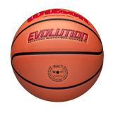 Wilson Adult Evolution Game Ball Basketball-6