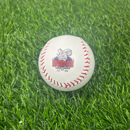 Customized Baseball with Team Logo
