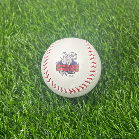 Customized Baseball with Team Logo