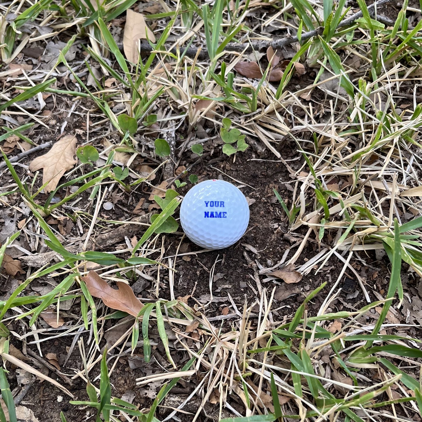 Customized Golf Ball Gift with Blue Text on Grass Background