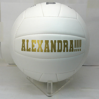 Volleyball Display Stand
