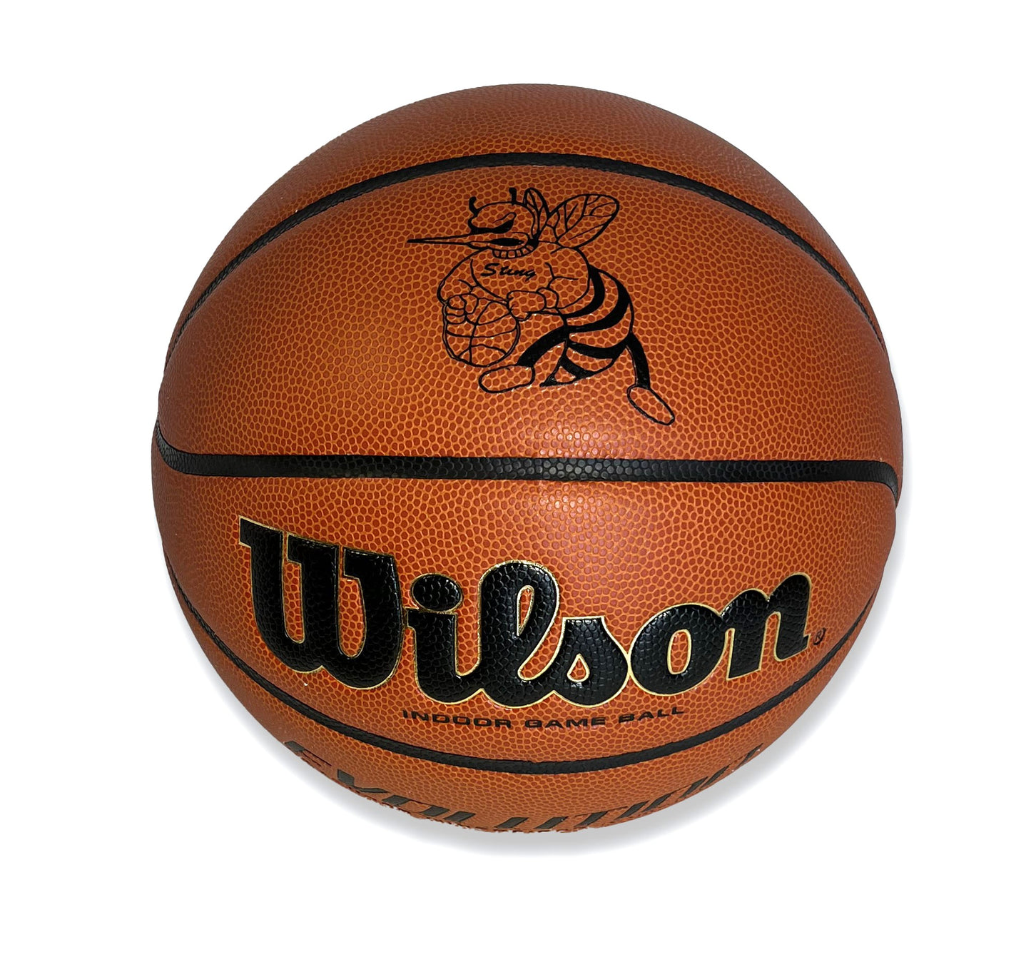 Customized Wilson Evolution Basketball with Logo