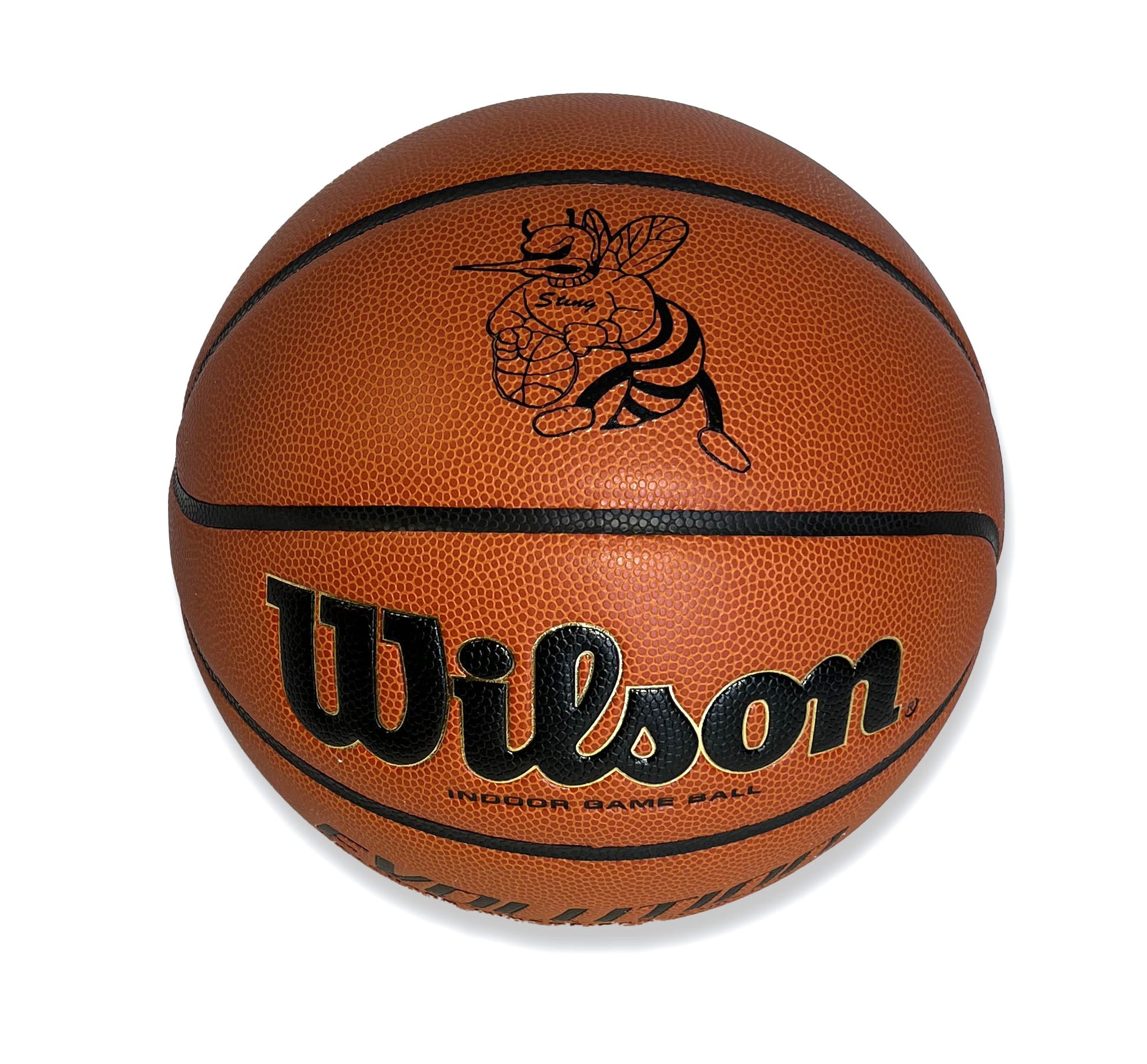 Customized Wilson Evolution Basketball with Logo
