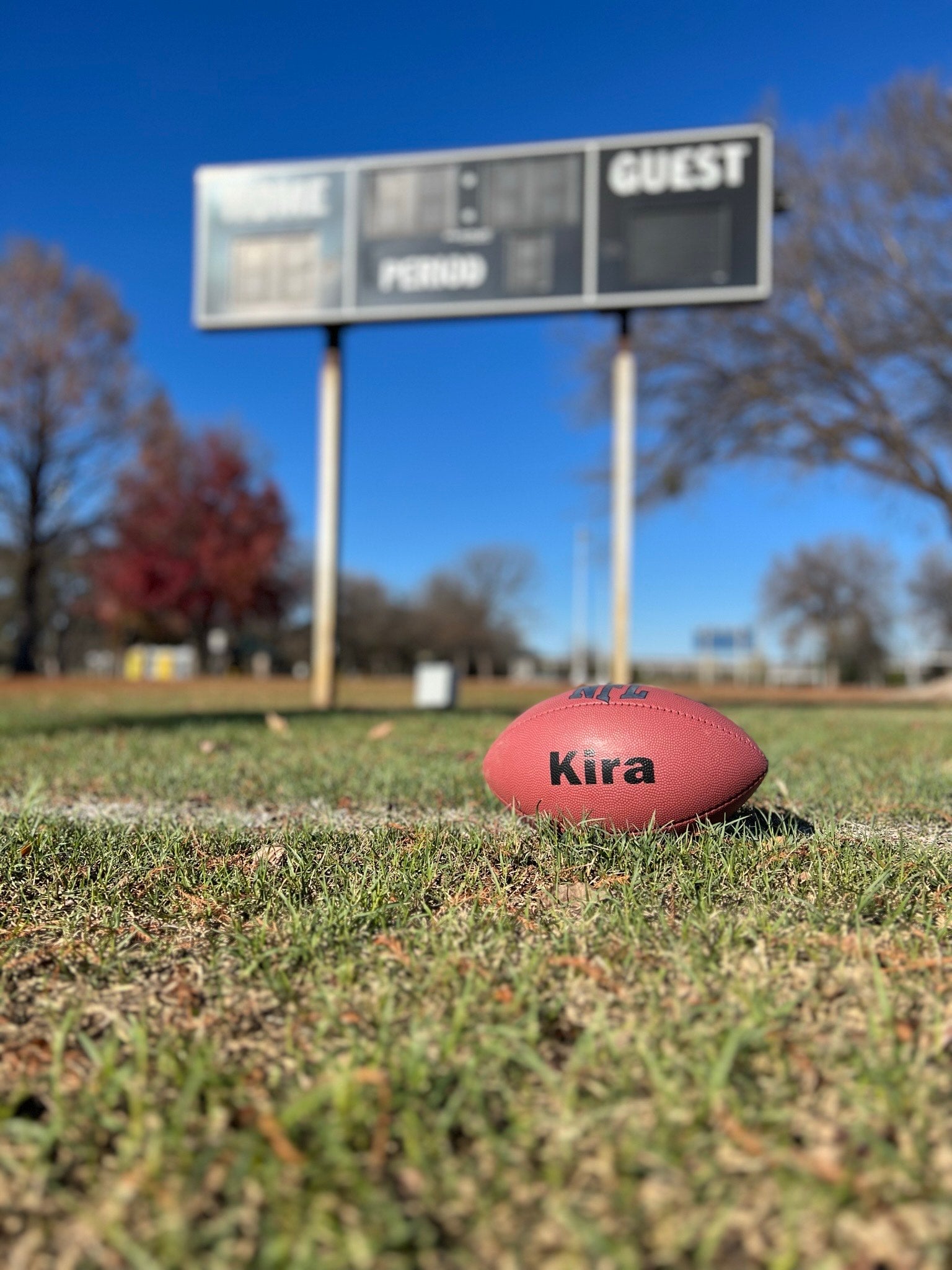 Customized Personalized Wilson NFL Football